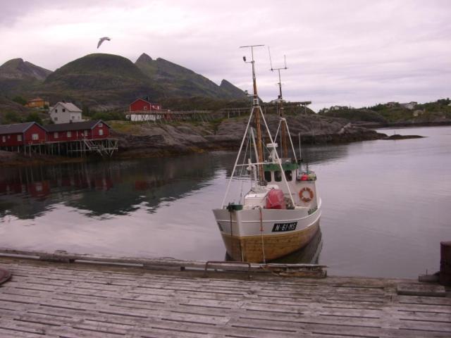 Knut Ellingsen Vila Reine Exterior foto